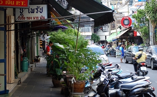 Potted plants and mopeds crowd the pavements